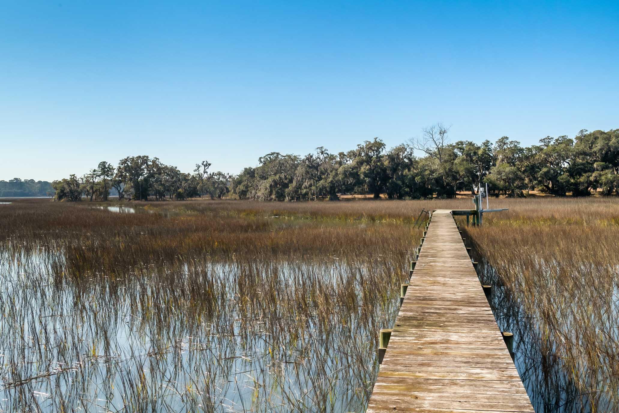 1824 Back Forty Road Wadmalaw Island, SC 29487 - Photo 26 of 62 HFL_SELKIRK 25 ACRES-19