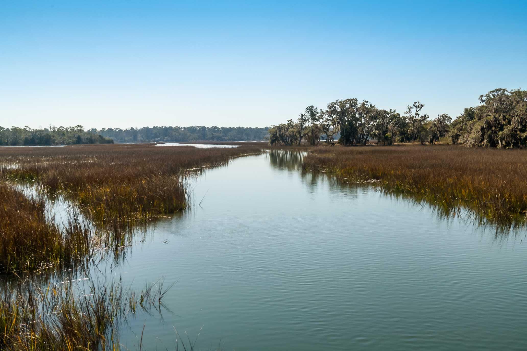 1824 Back Forty Road Wadmalaw Island, SC 29487 - Photo 27 of 62 HFL_SELKIRK 25 ACRES-20