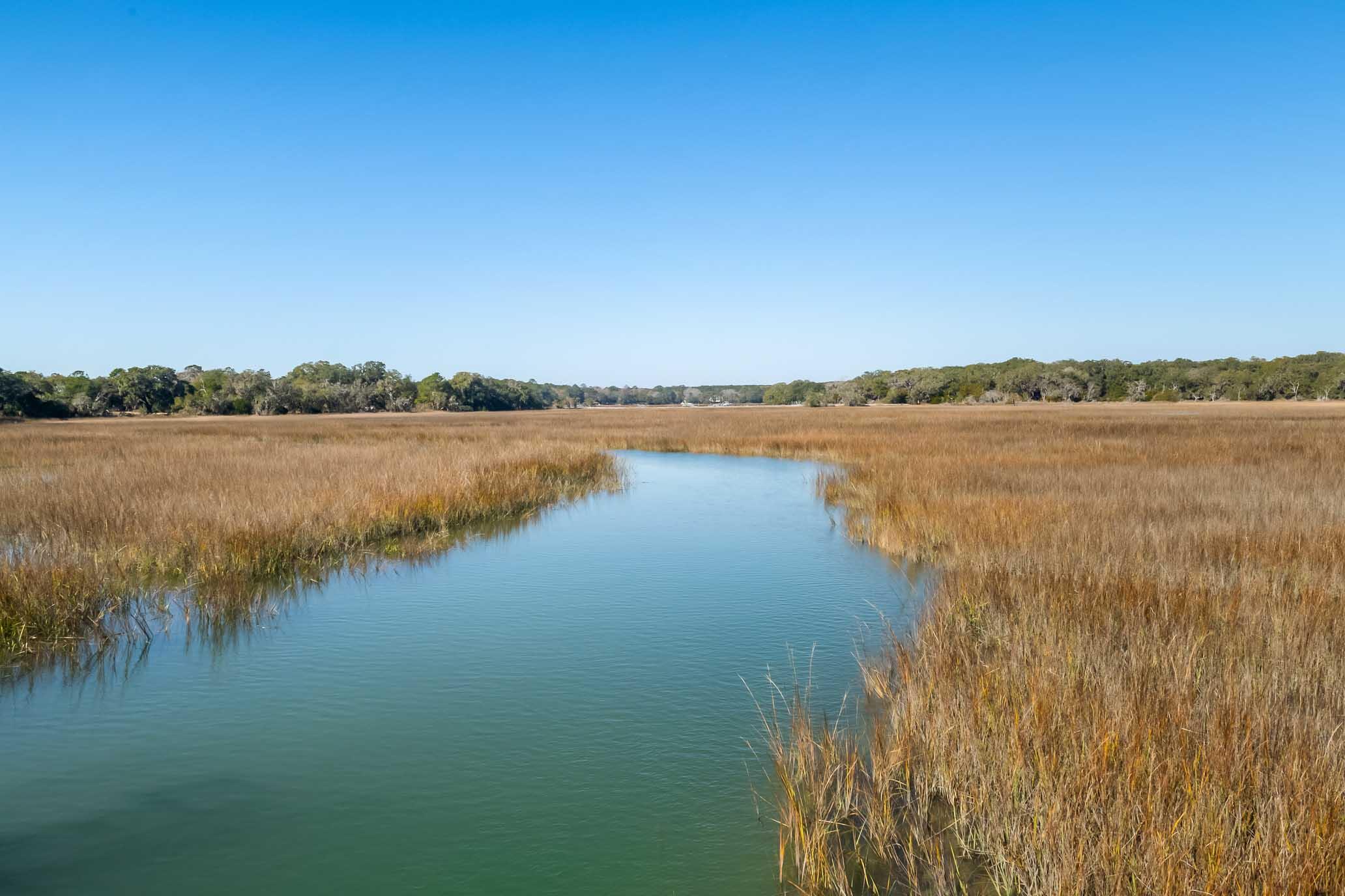 1824 Back Forty Road Wadmalaw Island, SC 29487 - Photo 28 of 62 HFL_SELKIRK 25 ACRES-21