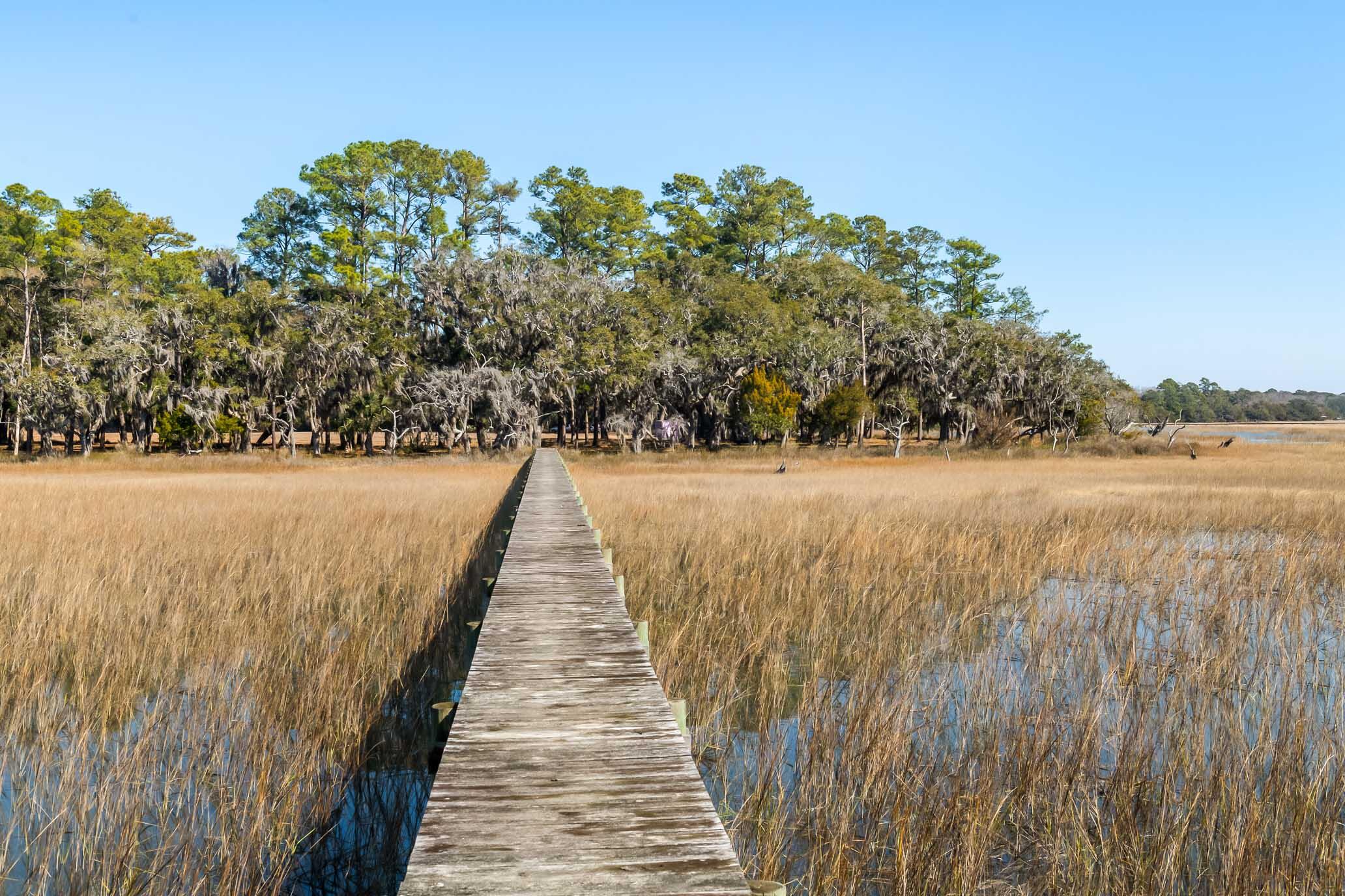 1824 Back Forty Road Wadmalaw Island, SC 29487 - Photo 29 of 62 HFL_SELKIRK 25 ACRES-22