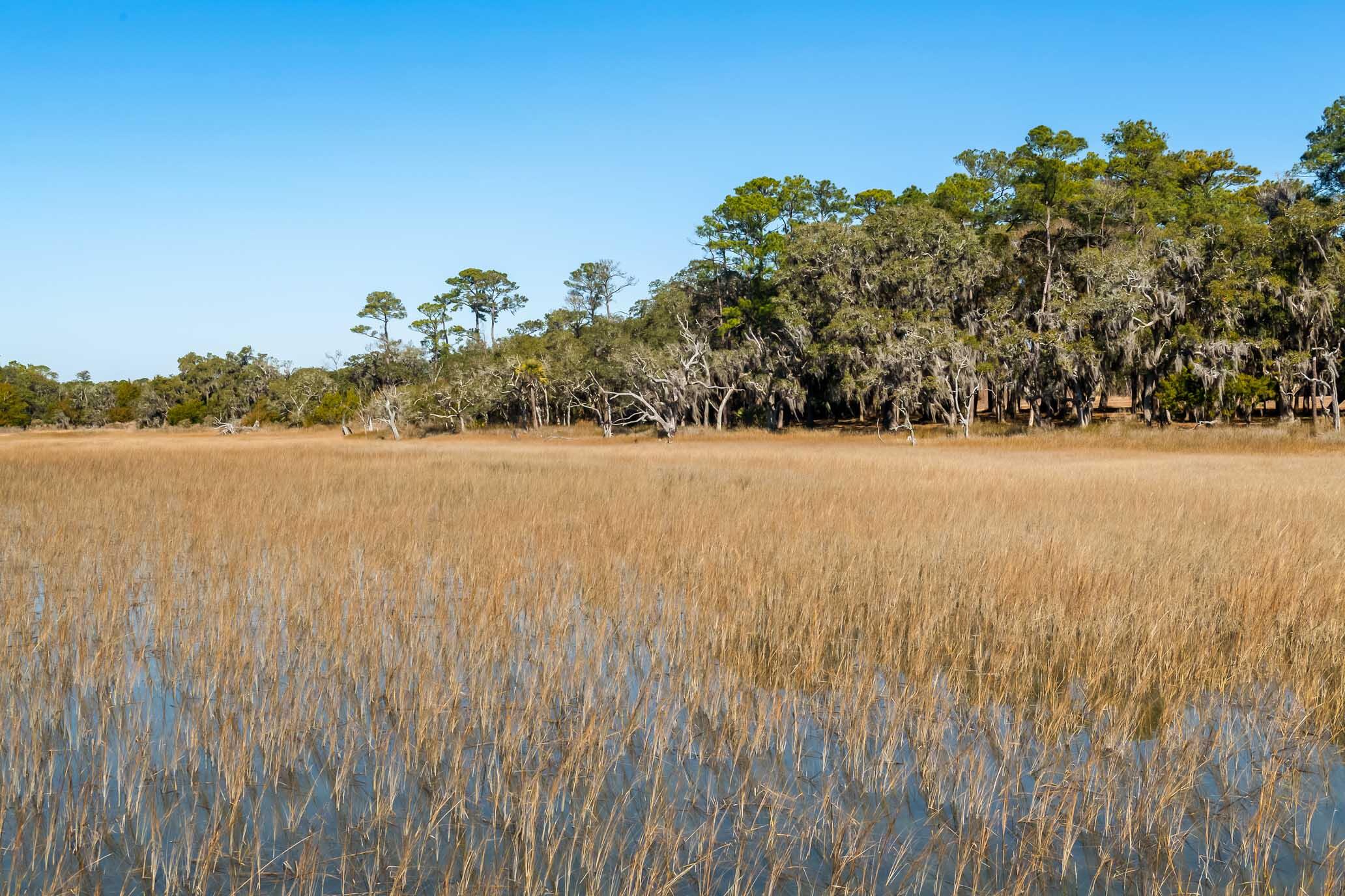 1824 Back Forty Road Wadmalaw Island, SC 29487 - Photo 30 of 62 HFL_SELKIRK 25 ACRES-23