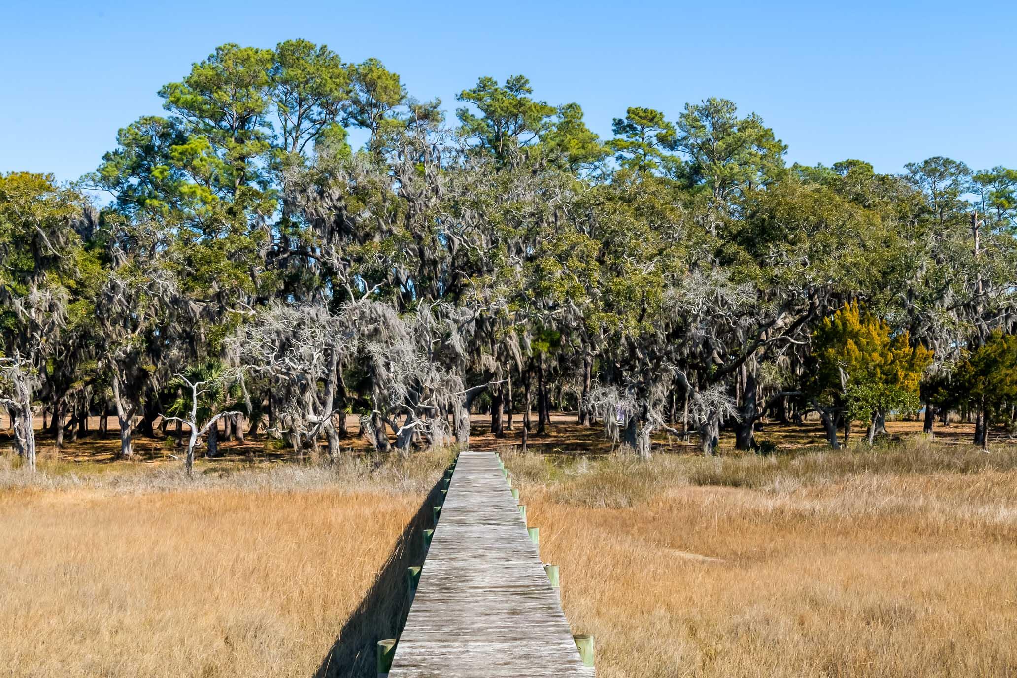 1824 Back Forty Road Wadmalaw Island, SC 29487 - Photo 31 of 62 HFL_SELKIRK 25 ACRES-24