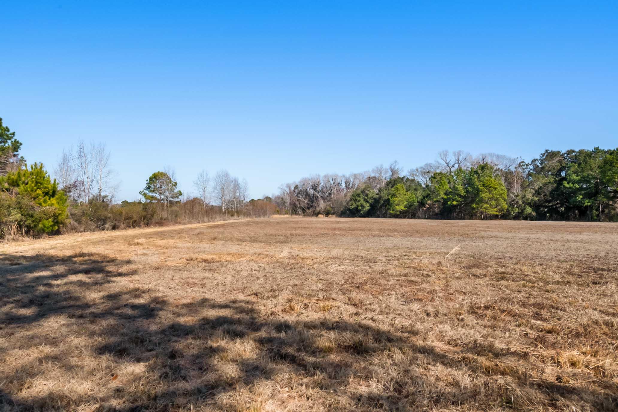 1824 Back Forty Road Wadmalaw Island, SC 29487 - Photo 37 of 62 HFL_SELKIRK 25 ACRES-30