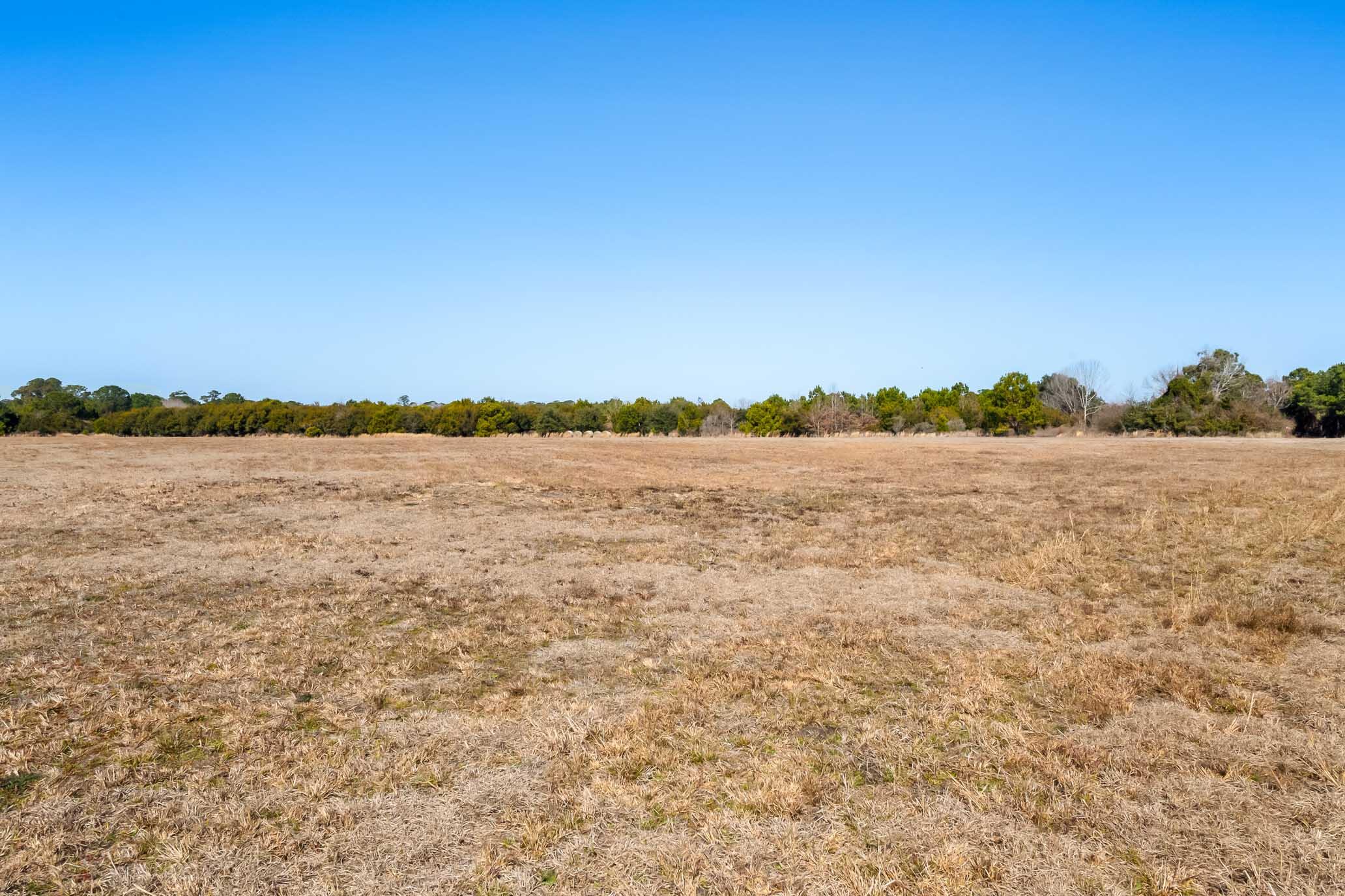 1824 Back Forty Road Wadmalaw Island, SC 29487 - Photo 39 of 62 HFL_SELKIRK 25 ACRES-32