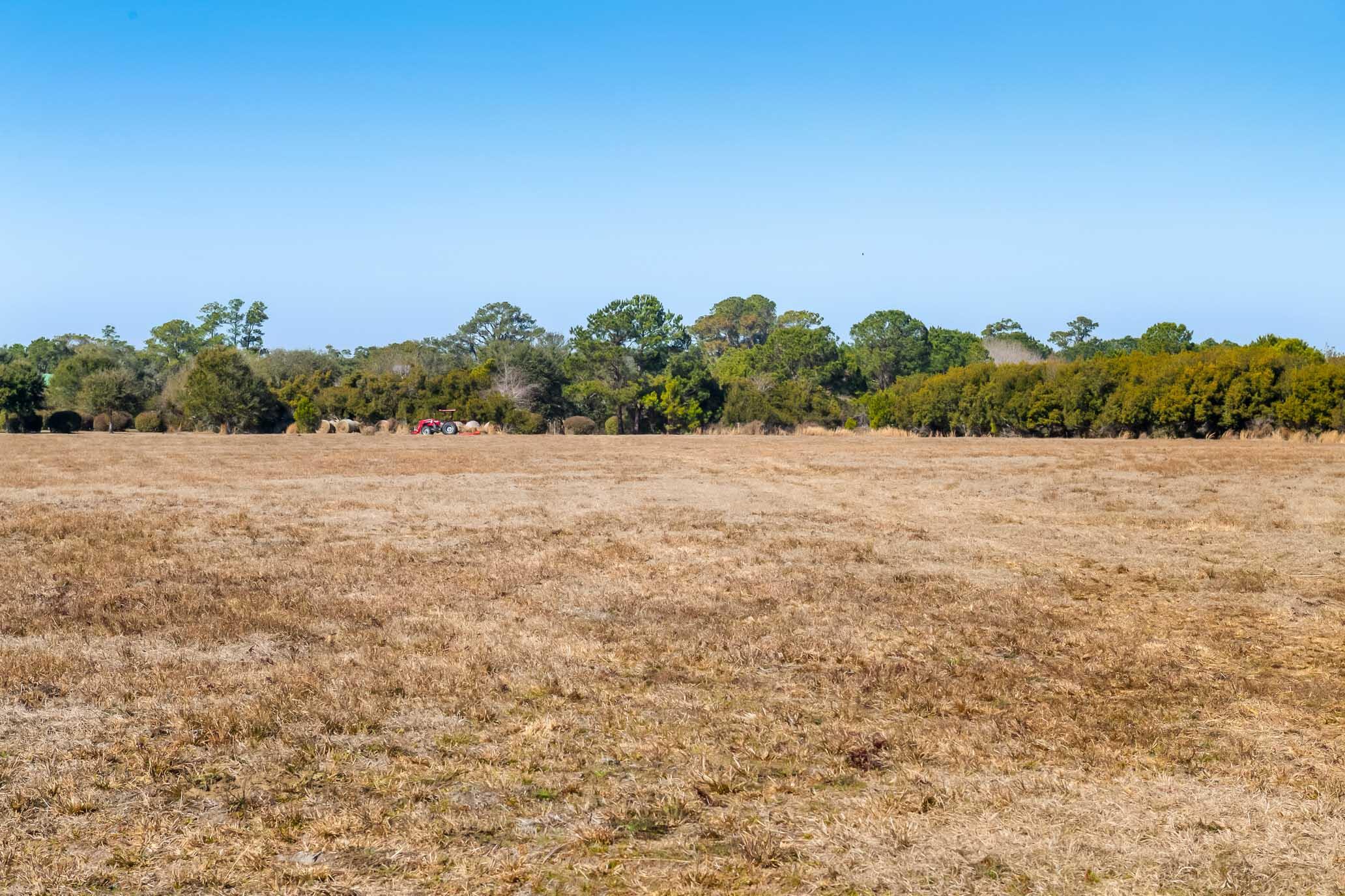 1824 Back Forty Road Wadmalaw Island, SC 29487 - Photo 40 of 62 HFL_SELKIRK 25 ACRES-33