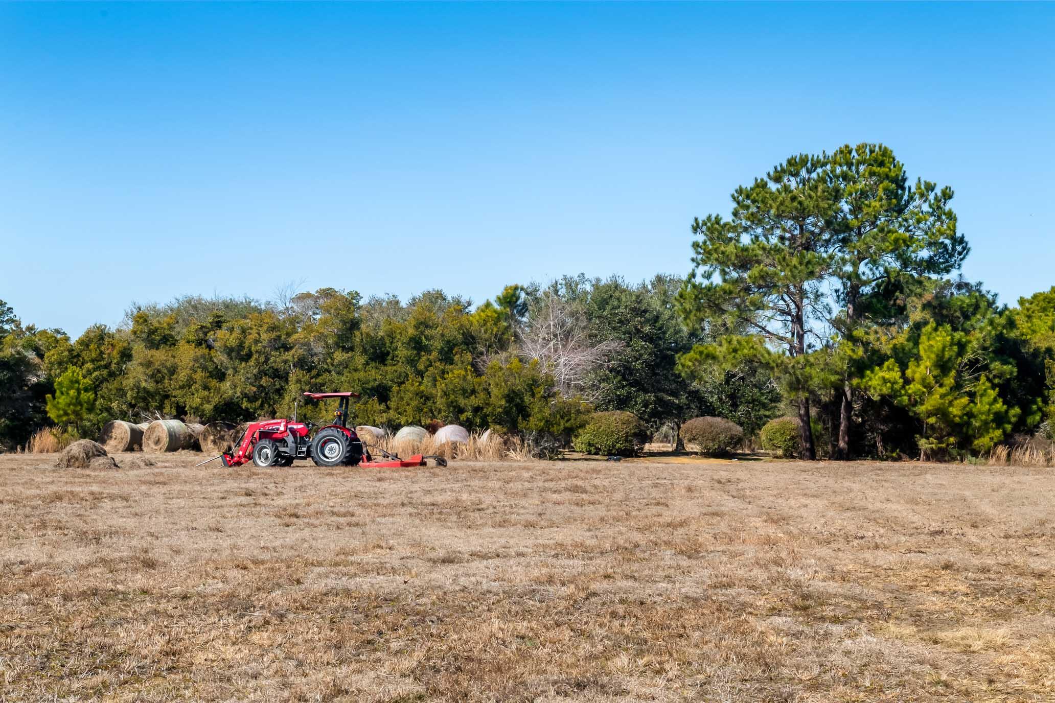 1824 Back Forty Road Wadmalaw Island, SC 29487 - Photo 42 of 62 HFL_SELKIRK 25 ACRES-35
