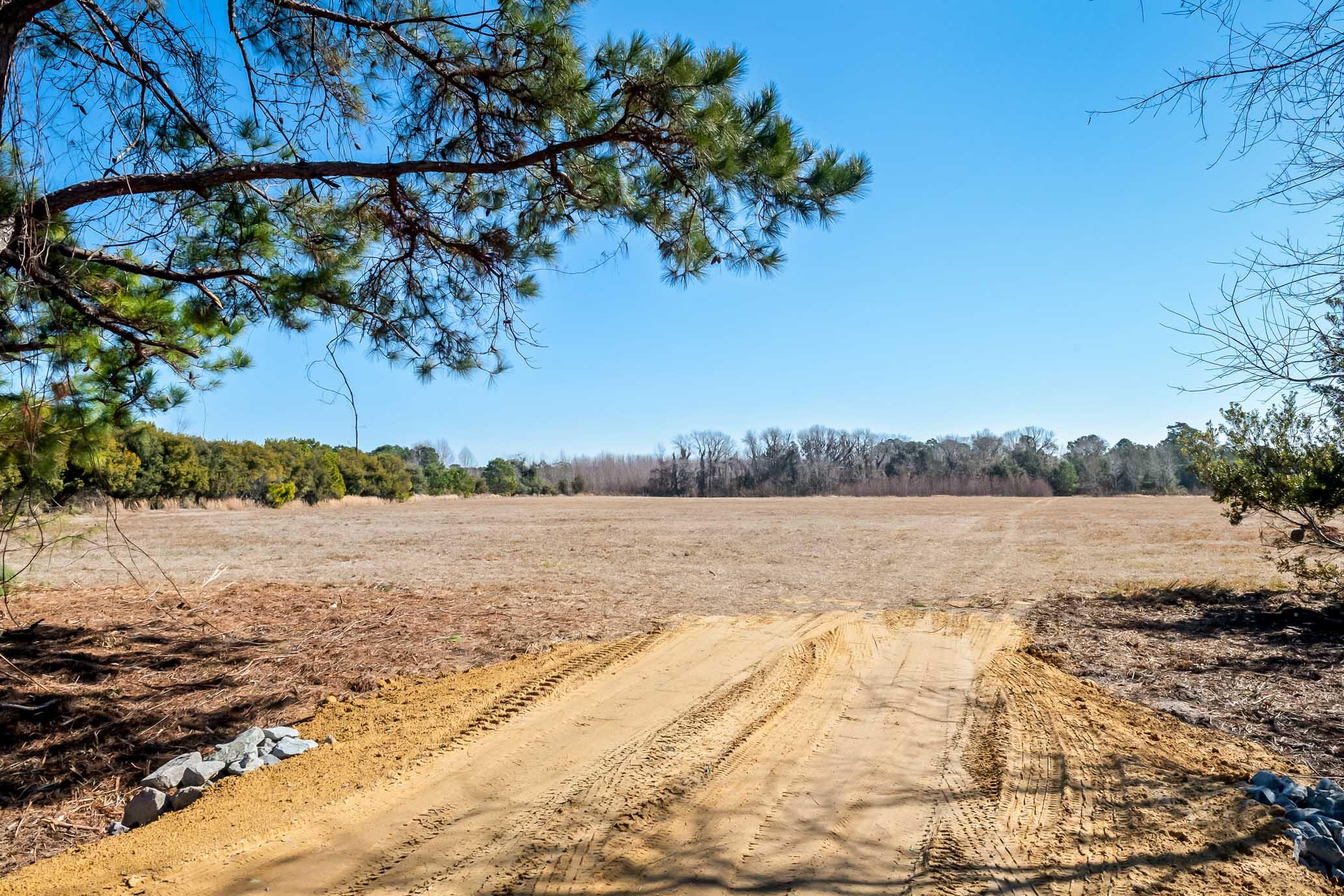 1824 Back Forty Road Wadmalaw Island, SC 29487 - Photo 43 of 62 HFL_SELKIRK 25 ACRES-36