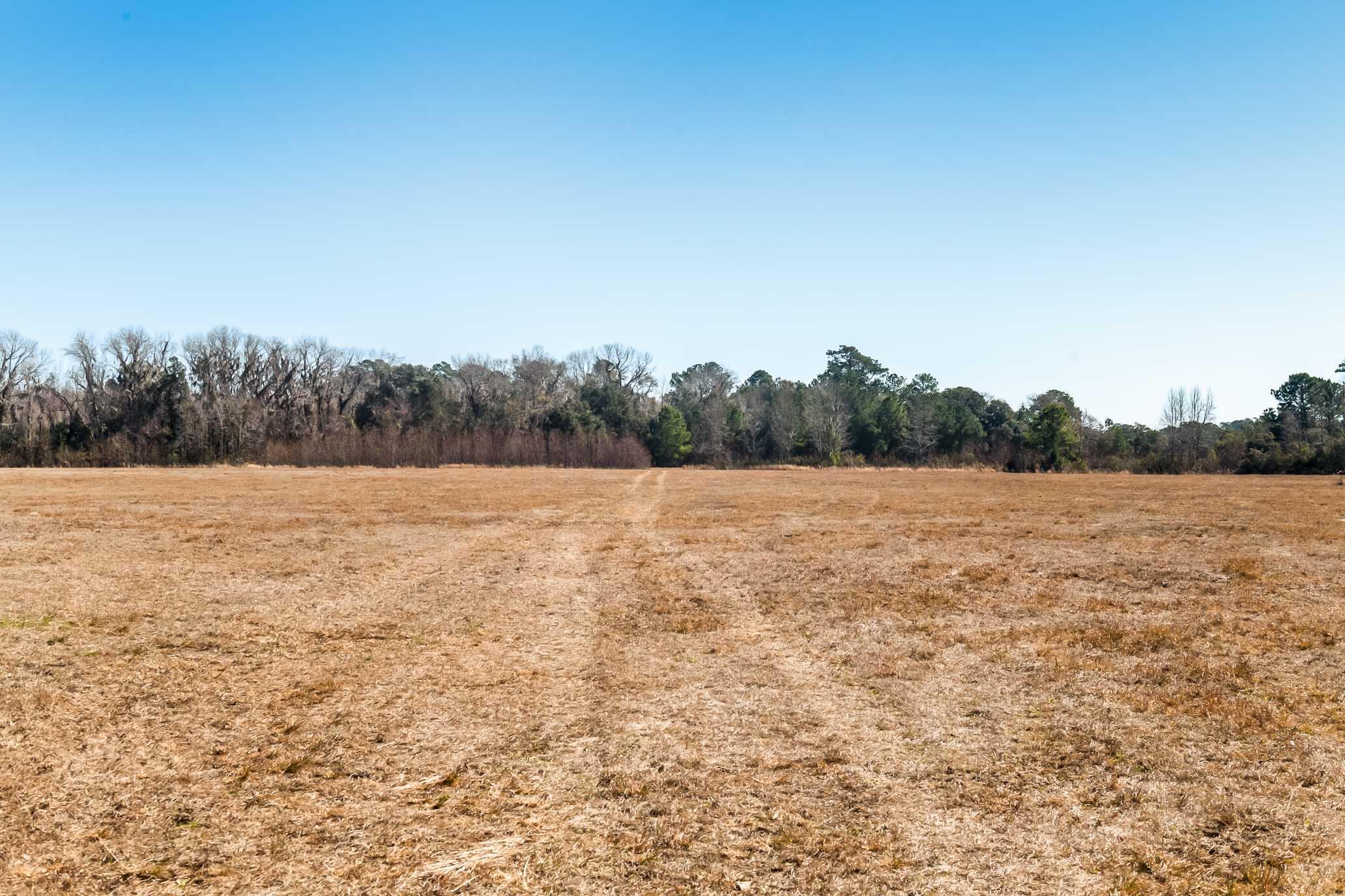 1824 Back Forty Road Wadmalaw Island, SC 29487 - Photo 44 of 62 HFL_SELKIRK 25 ACRES-37