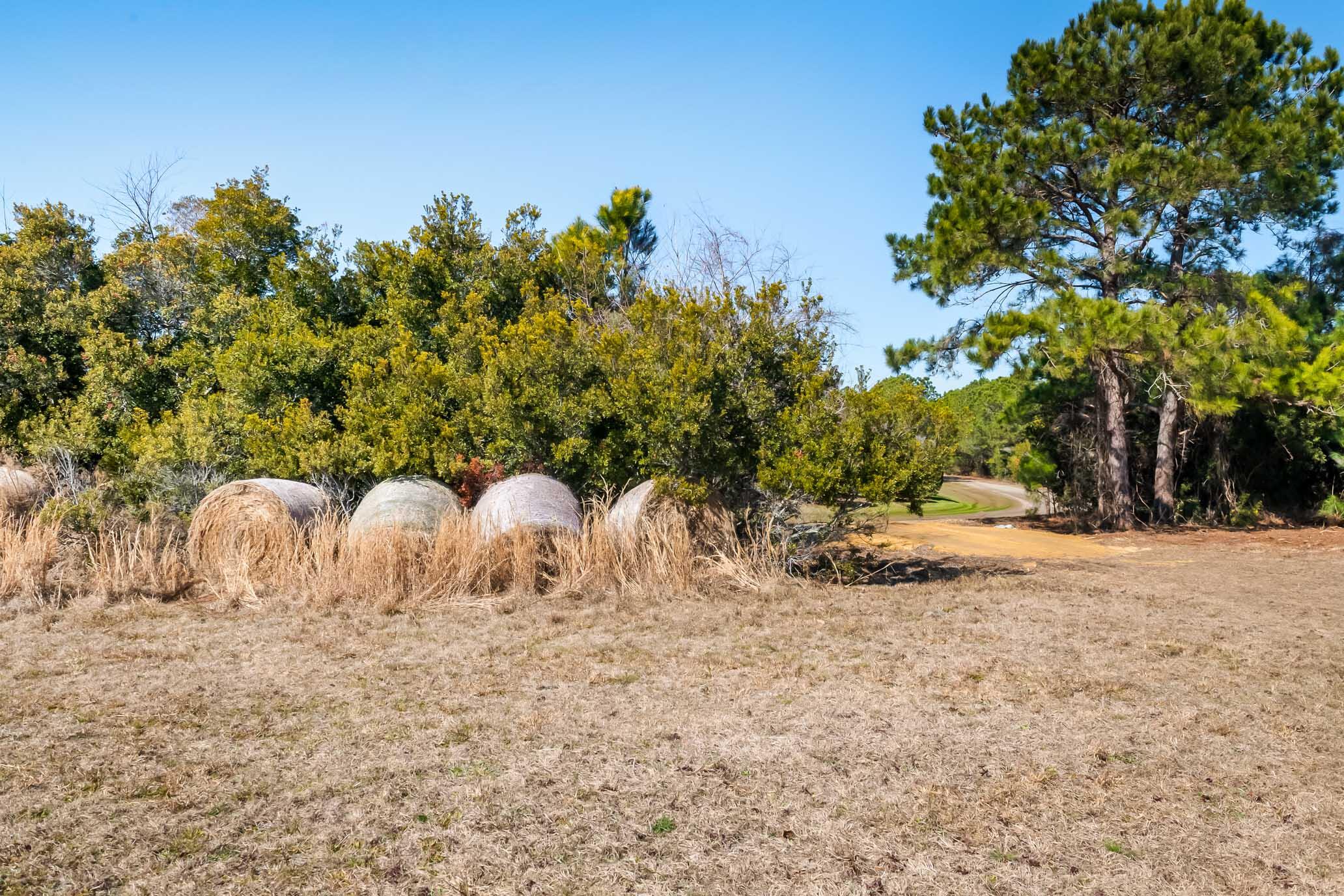 1824 Back Forty Road Wadmalaw Island, SC 29487 - Photo 45 of 62 HFL_SELKIRK 25 ACRES-38