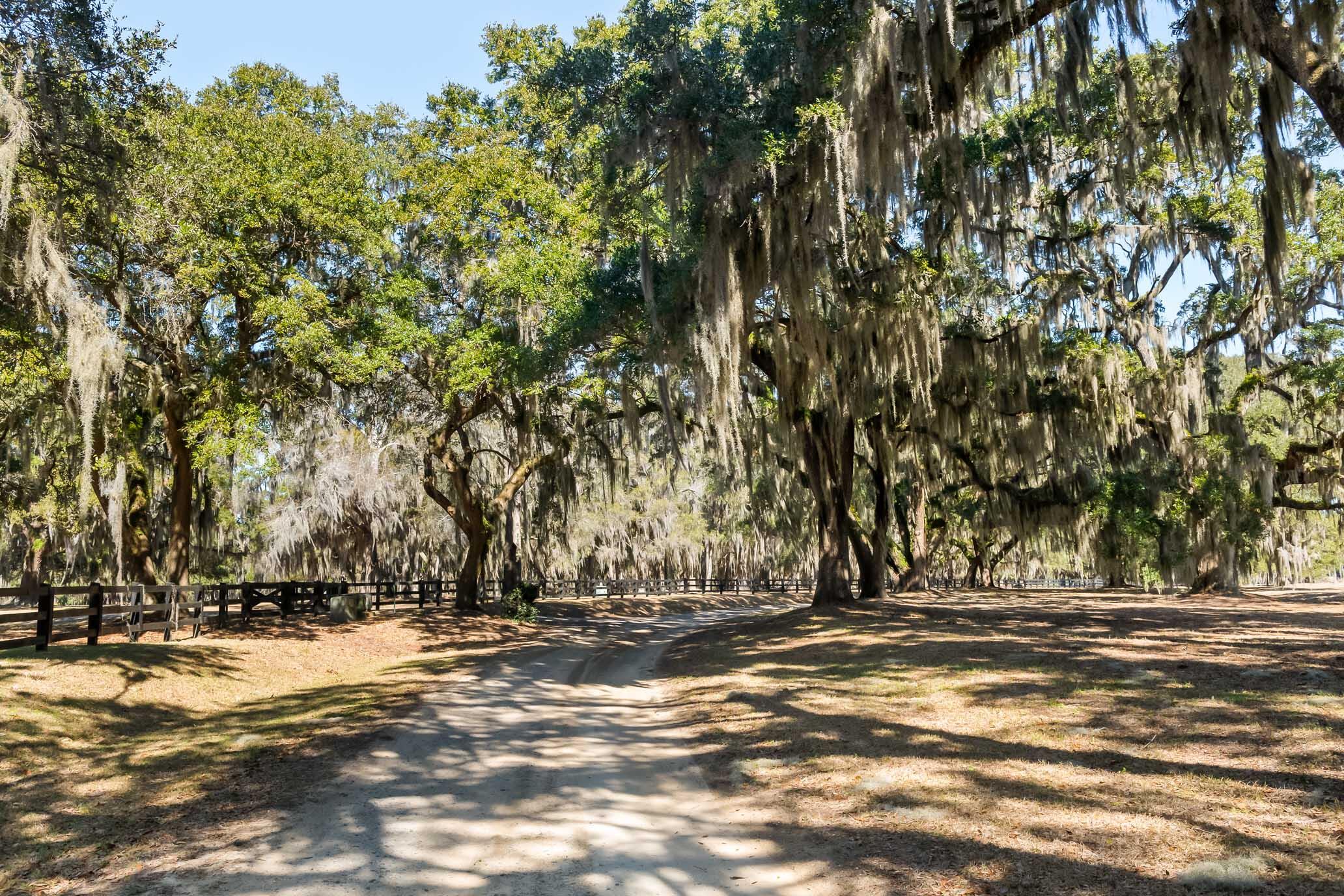 1824 Back Forty Road Wadmalaw Island, SC 29487 - Photo 55 of 62 HFL_SELKIRK 25 ACRES-48