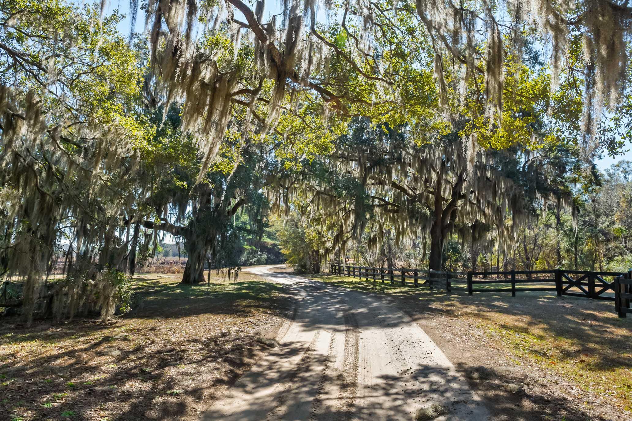 1824 Back Forty Road Wadmalaw Island, SC 29487 - Photo 56 of 62 HFL_SELKIRK 25 ACRES-49