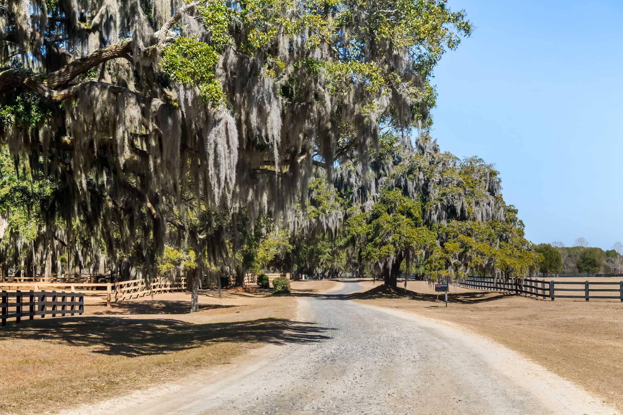 1824 Back Forty Road Wadmalaw Island, SC 29487 - Photo 57 of 62 HFL_SELKIRK 25 ACRES-50