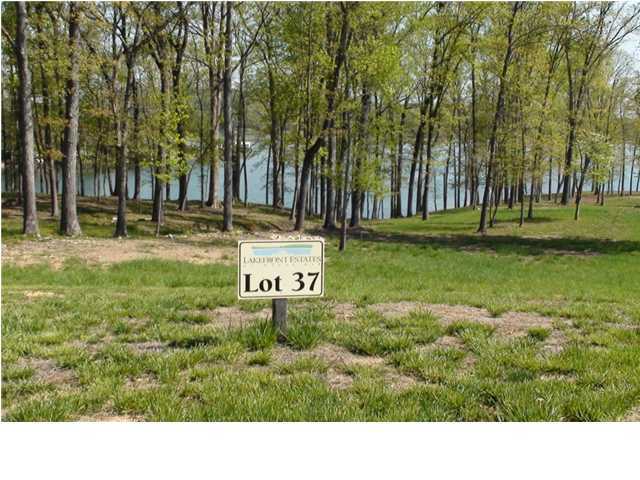 595 Waterfront Way, Unit L37 Spring City, TN 37381 - Photo 1 of 13 Primary Photo