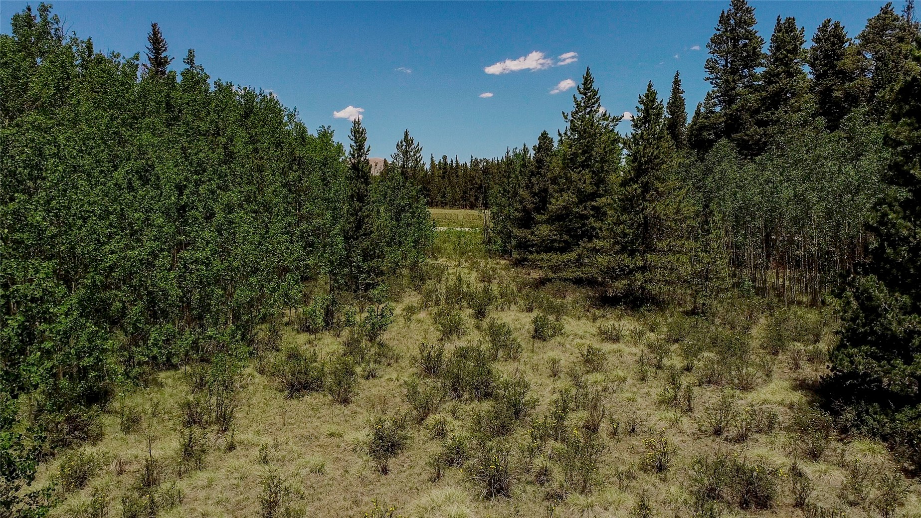 515 Wild Rye Road Fairplay, CO 80440 - Photo 11 of 24
