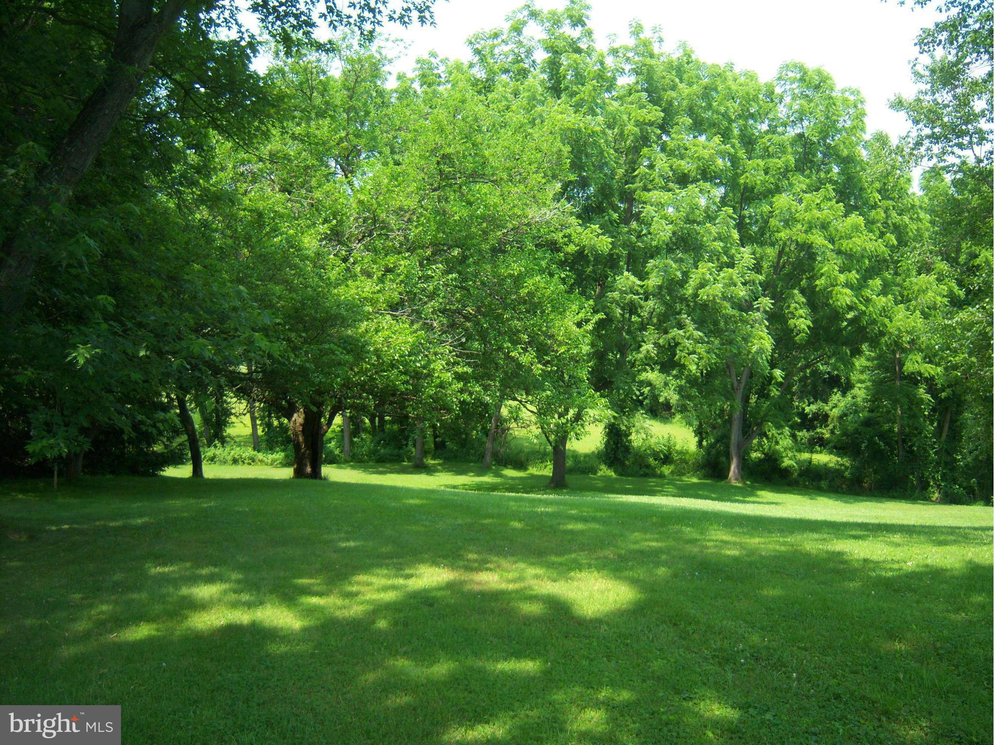 Indian Spring Sparks, MD 21152 - Photo 1 of 9 a view of a grassy field with trees