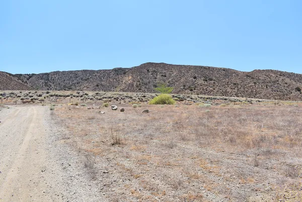 $13,000 | 91 St West Palmdale Ca, Palmdale, CA 93551
