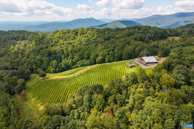 $1,675,000 | 1376 A Wyatt Mountain Road, Dyke, VA 22935