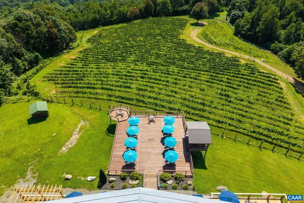 a view of a big yard with lots of trees