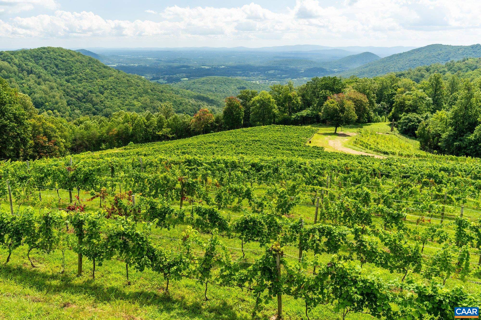 1376 A Wyatt Mountain Road Dyke, VA 22935 - Photo 17 of 58