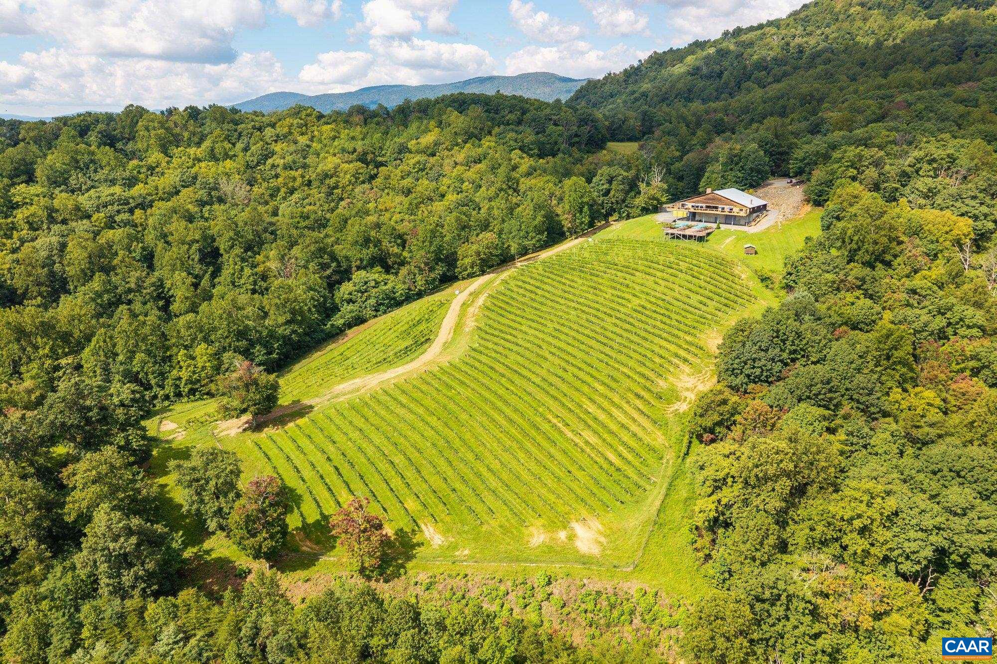 1376 A Wyatt Mountain Road Dyke, VA 22935 - Photo 2 of 58