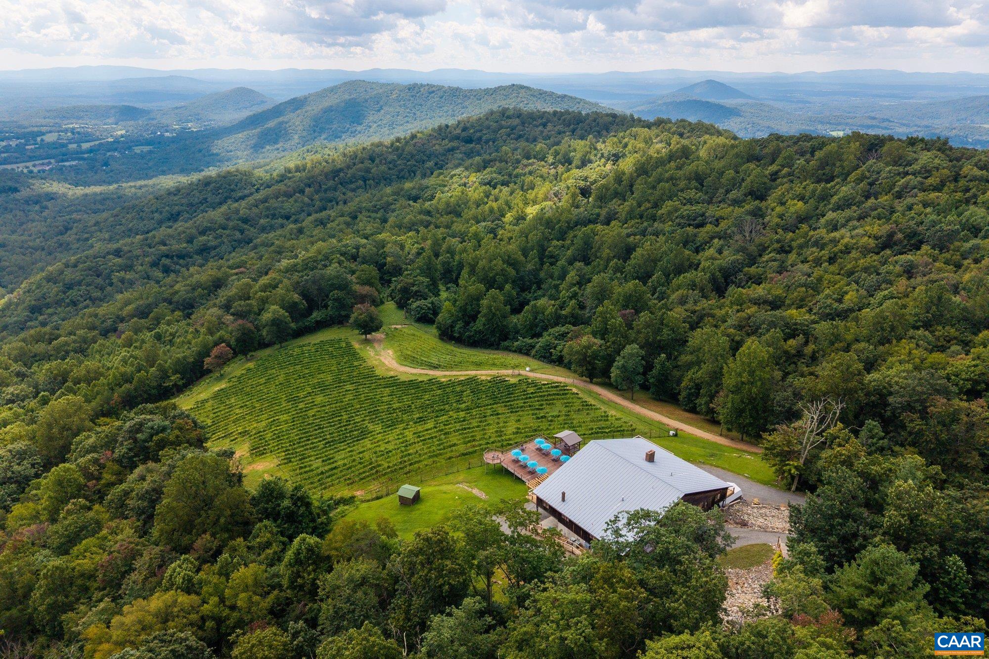 1376 A Wyatt Mountain Road Dyke, VA 22935 - Photo 3 of 58