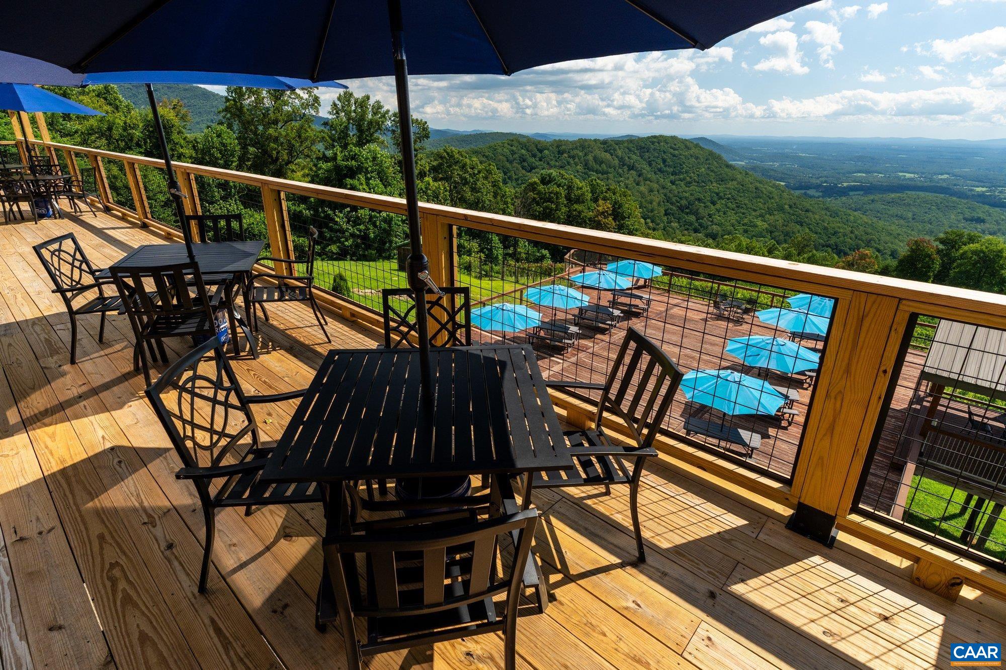 1376 A Wyatt Mountain Road Dyke, VA 22935 - Photo 48 of 58