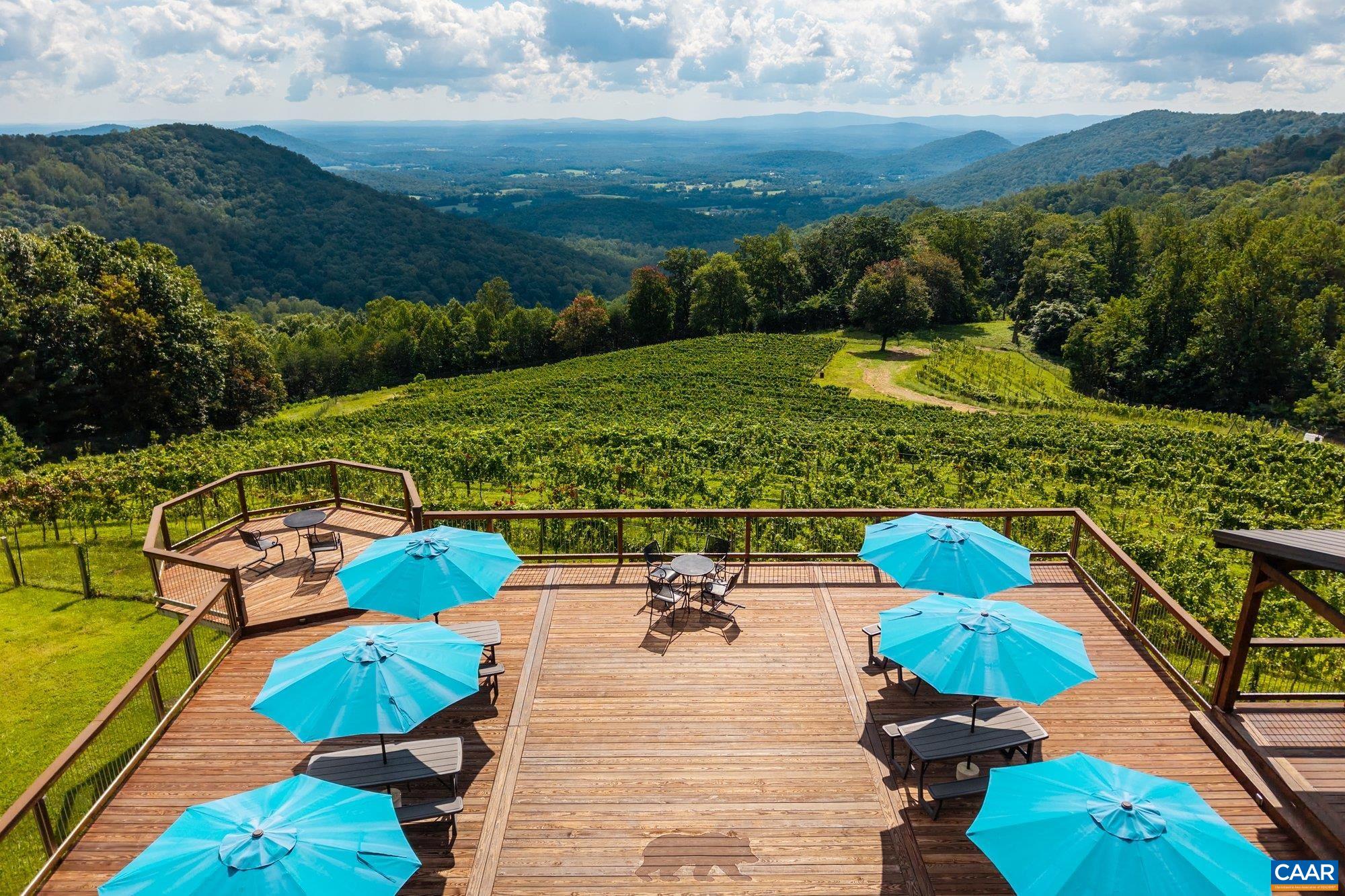 1376 A Wyatt Mountain Road Dyke, VA 22935 - Photo 10 of 58