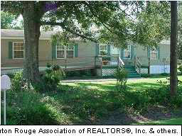 9513 Rod Anderson Road St. Amant, LA 70774 - Photo 2 of 11 Gallery Image 2
