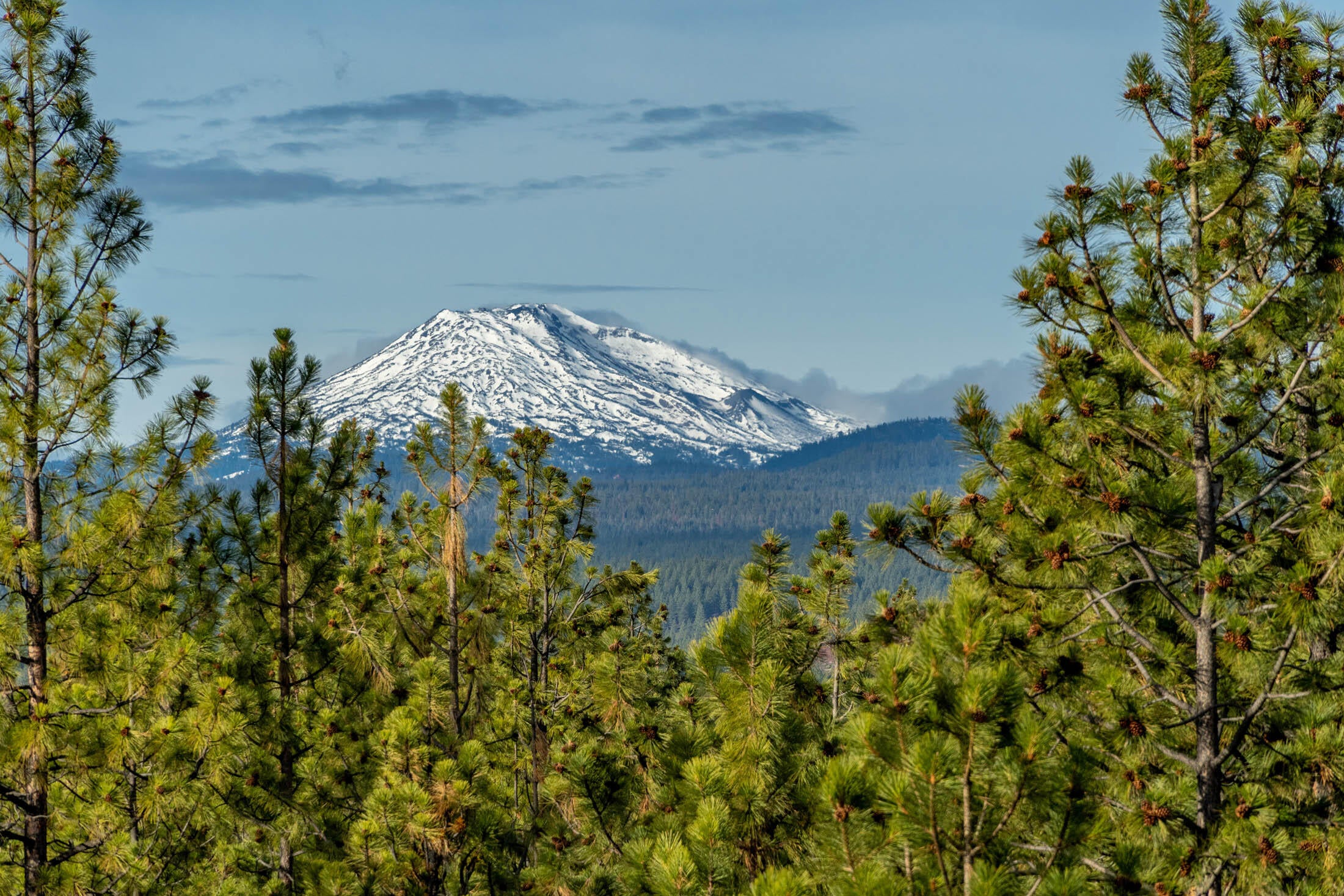 60205 Crater Road Bend, OR 97702 - Photo 36 of 74 Cascade Mountain view from second level office.