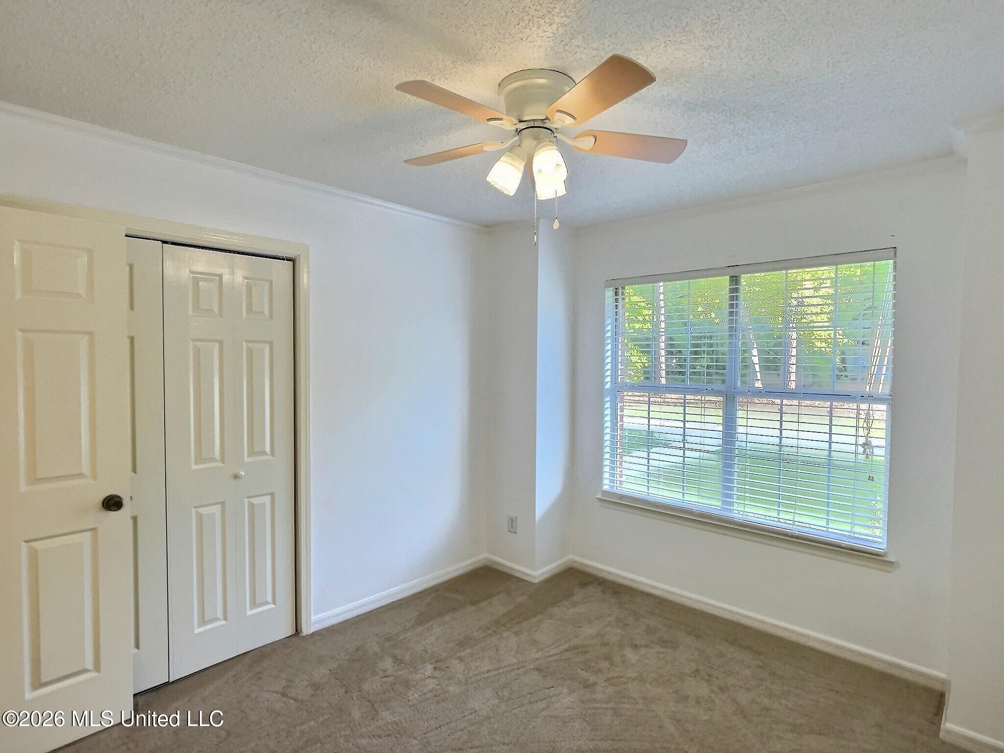 6117 Jim Ramsay Road Vancleave, MS 39565 - Photo 9 of 31 exposio_133798424