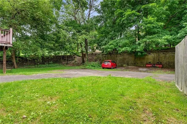 a view of a park with plants and trees