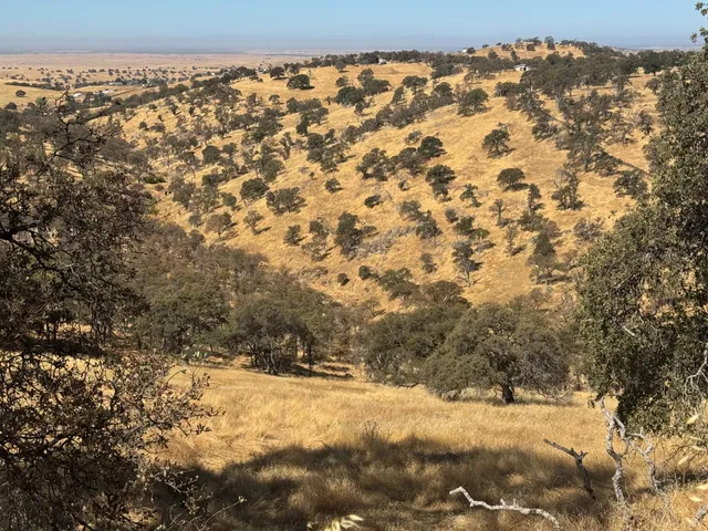 a view of a dry yard with mountains in the background