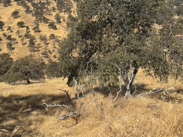 a view of a city street
