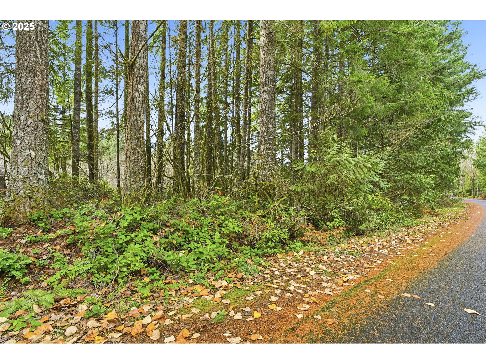 65344 East Sandy River Lane Rhododendron, OR 97049 - Photo 2 of 9
