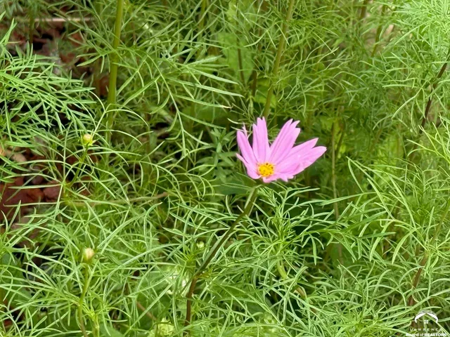 $307,500 | 2516 Kensington Road, Lawrence, KS 66046