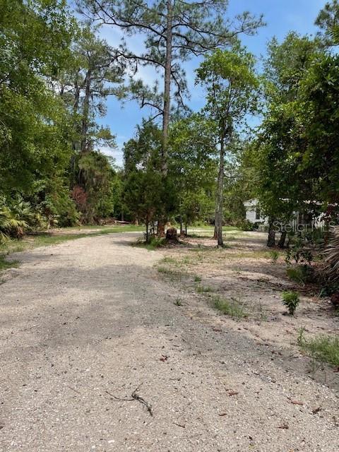 567 Harney Heights Road Geneva, FL 32732 - Photo 24 of 30 Gallery Image 24