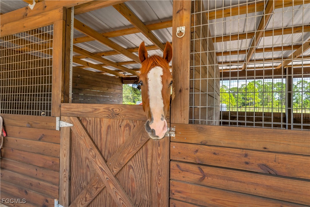 7602 18th Place LaBelle, FL 33935 - Photo 27 of 30 a view of staircase with white walls and windows