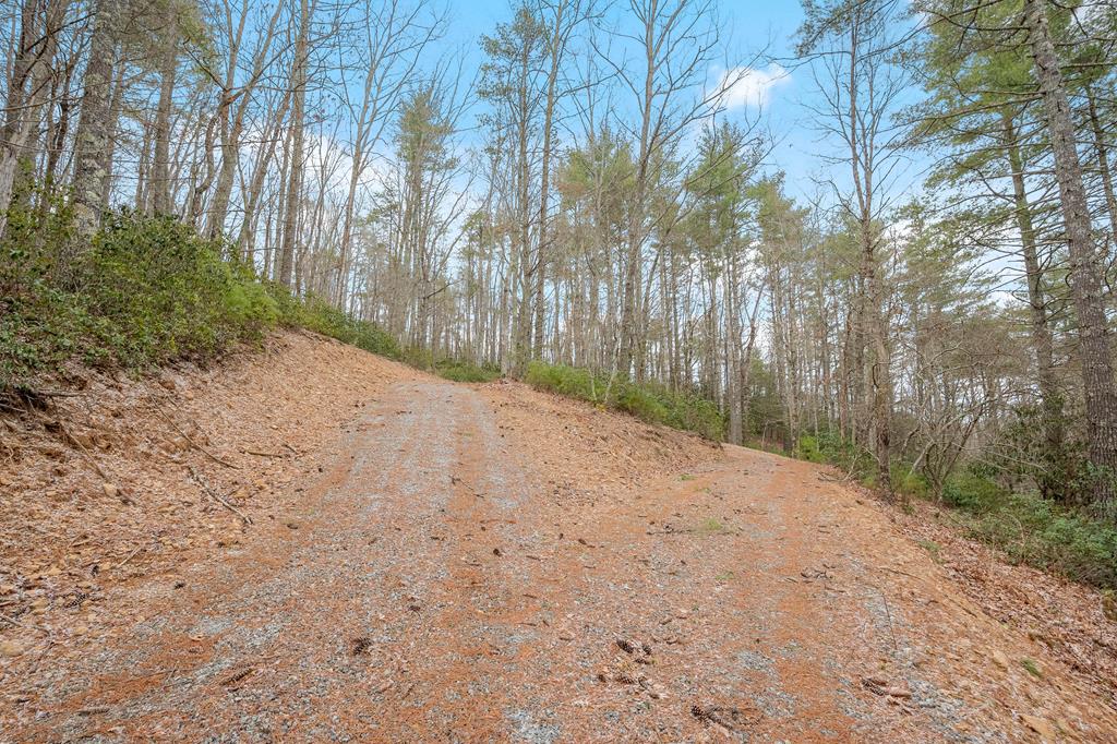 12-acres Powerhouse Road, Unit 14D Independence, VA 24348 - Photo 8 of 44 Gallery Image 8