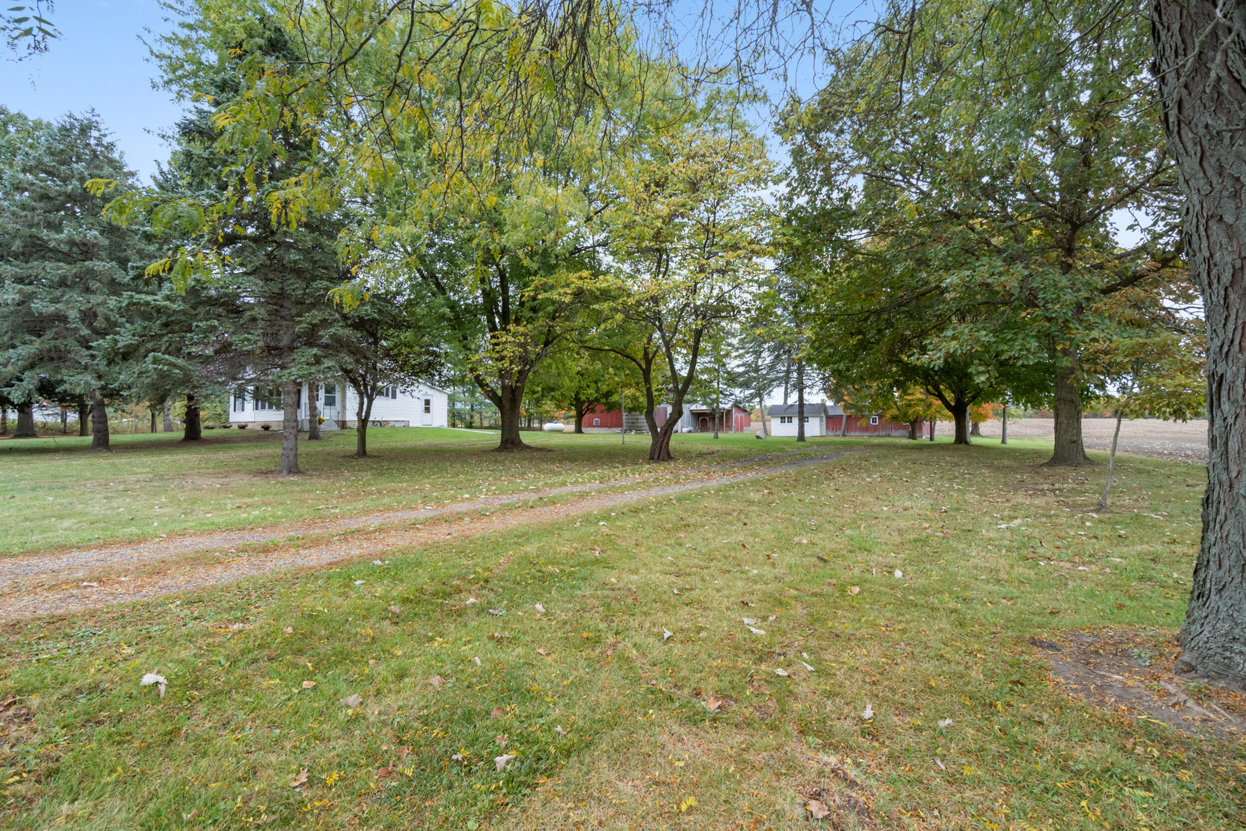 16378 Cadmus Road Hudson, MI 49247 - Photo 53 of 64 16378 cadmus rd hudson mi - 00069