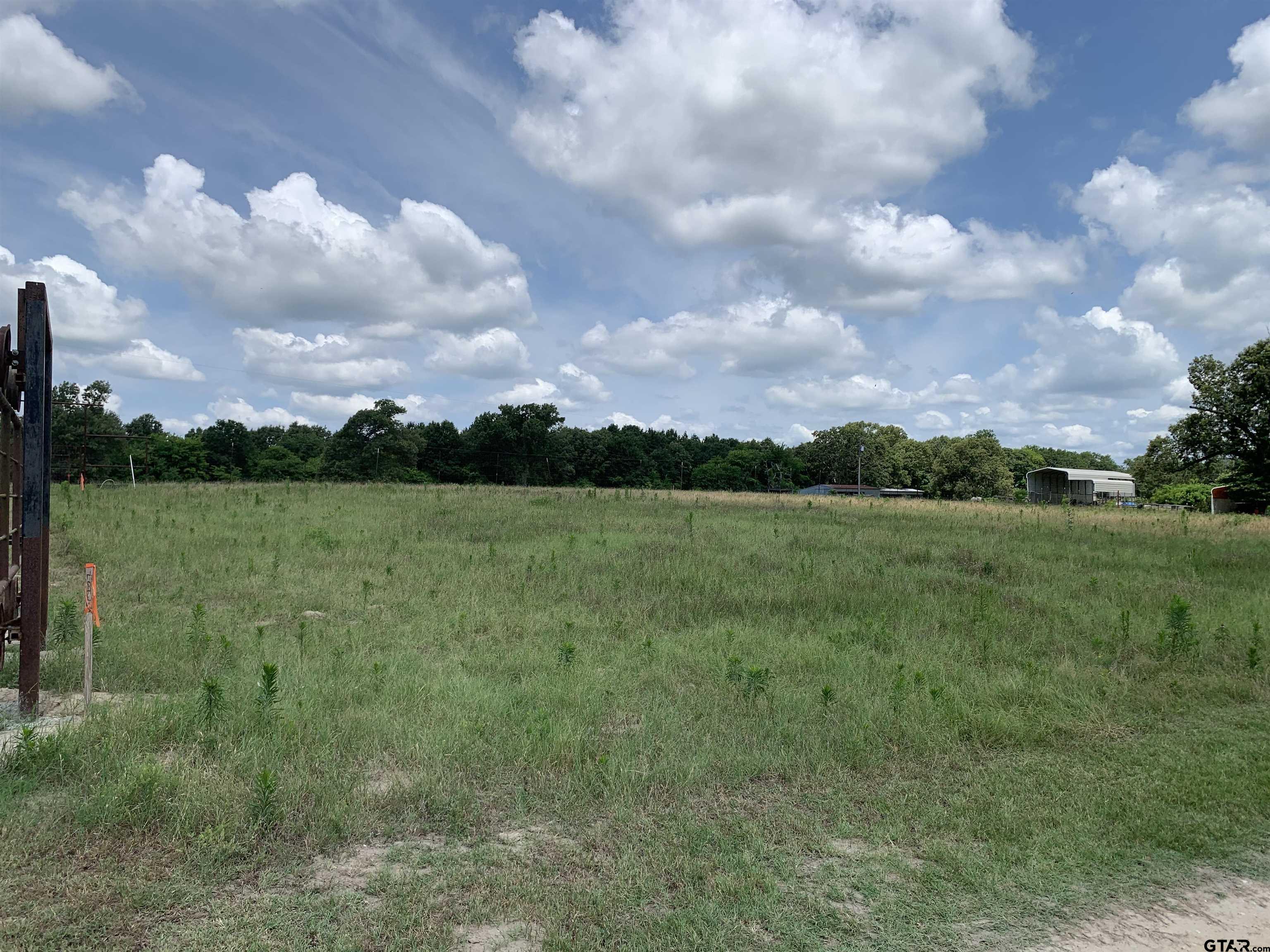 Williams Lake Road Tyler, TX 75702 - Photo 4 of 5