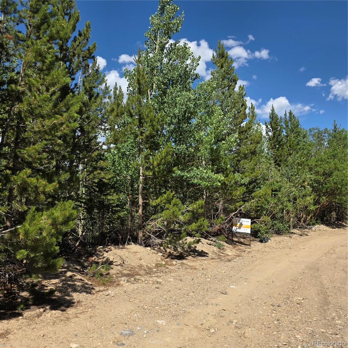 Eva Road Idaho Springs, CO 80452 - Photo 5 of 12 Gallery Image 5