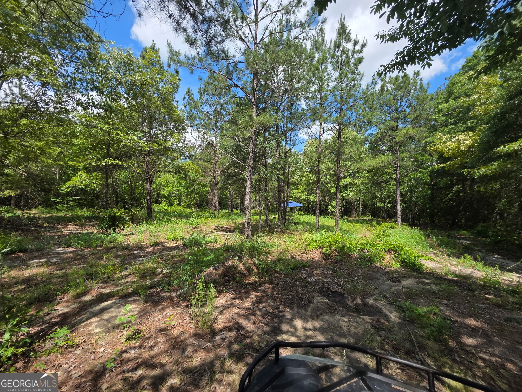 1667 Richard Moore Road Dublin, GA 31021 - Photo 12 of 43