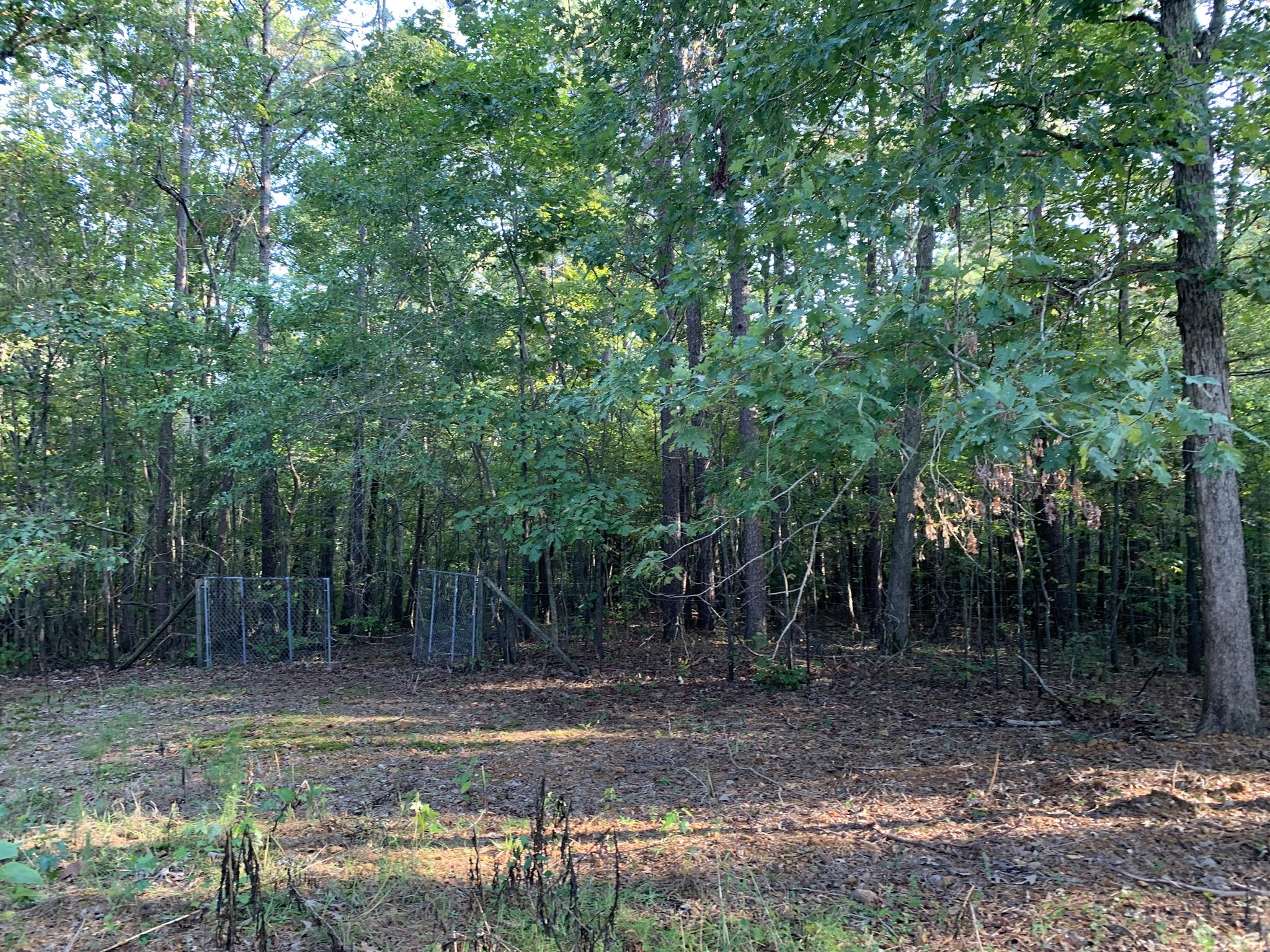 215 Damon Road Counce, TN 38326 - Photo 13 of 30 Gallery Image 13