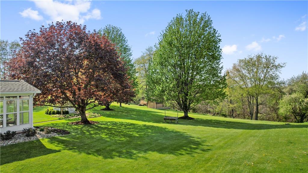 317 Madison Heights Road Madison, PA 15672 - Photo 4 of 32 a view of a park with large trees