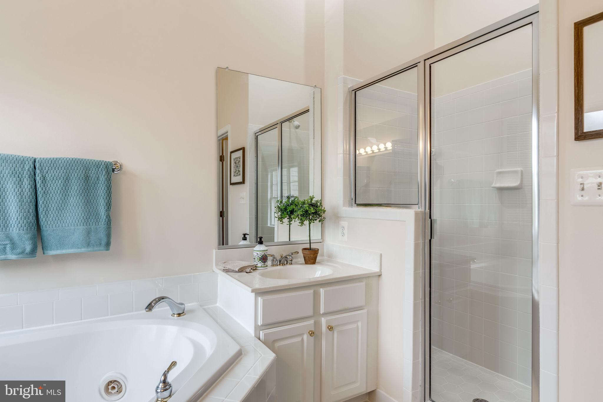 11119 Little Compton Drive Reston, VA 20191 - Photo 39 of 87 Tub & Shower. WC w/shelves to right out of sight.