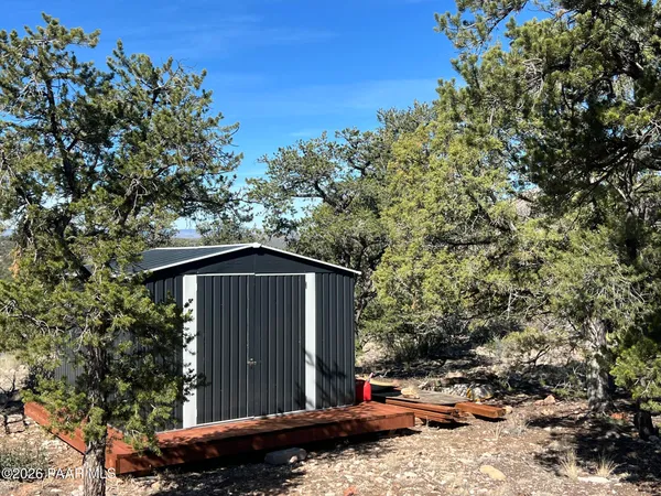 a backyard of a house with a tree