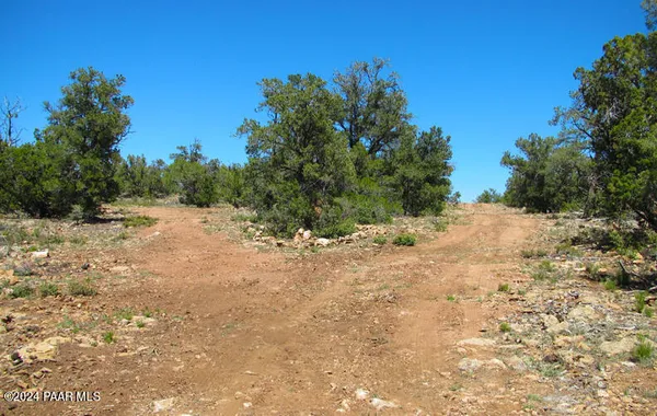 a view of a yard with trees in the background