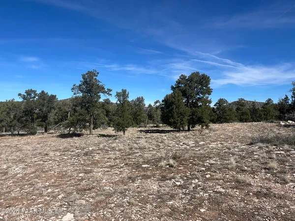 a view of dirt field and trees