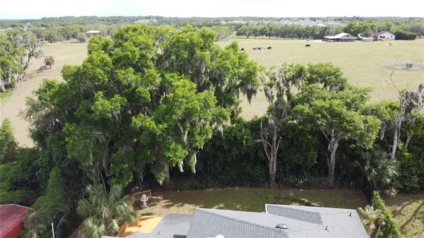 $3,000 | 6846 Lake View Drive, Yalaha, FL 34797