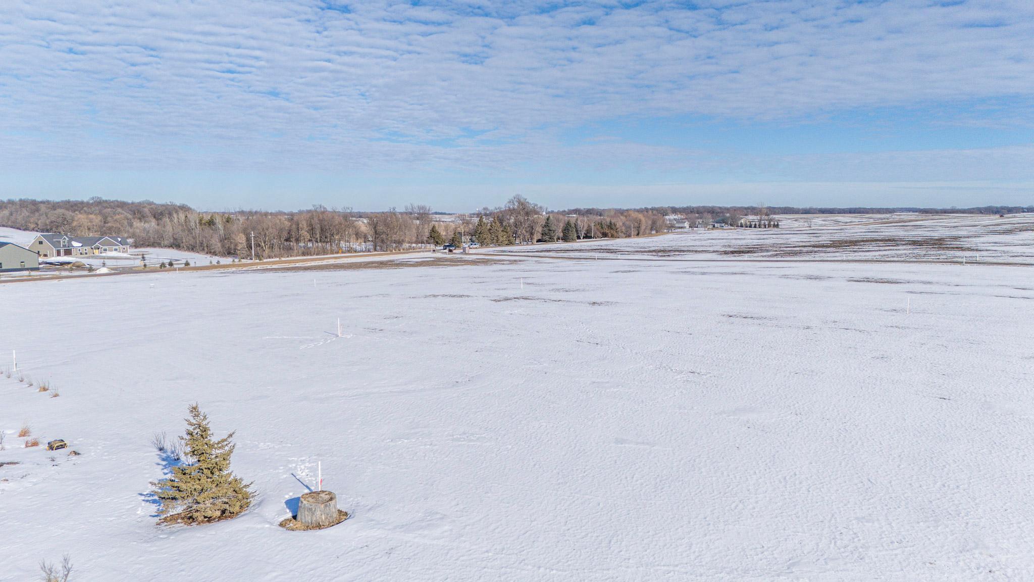 Tbd 300th Street New Prague, MN 56071 - Photo 8 of 12